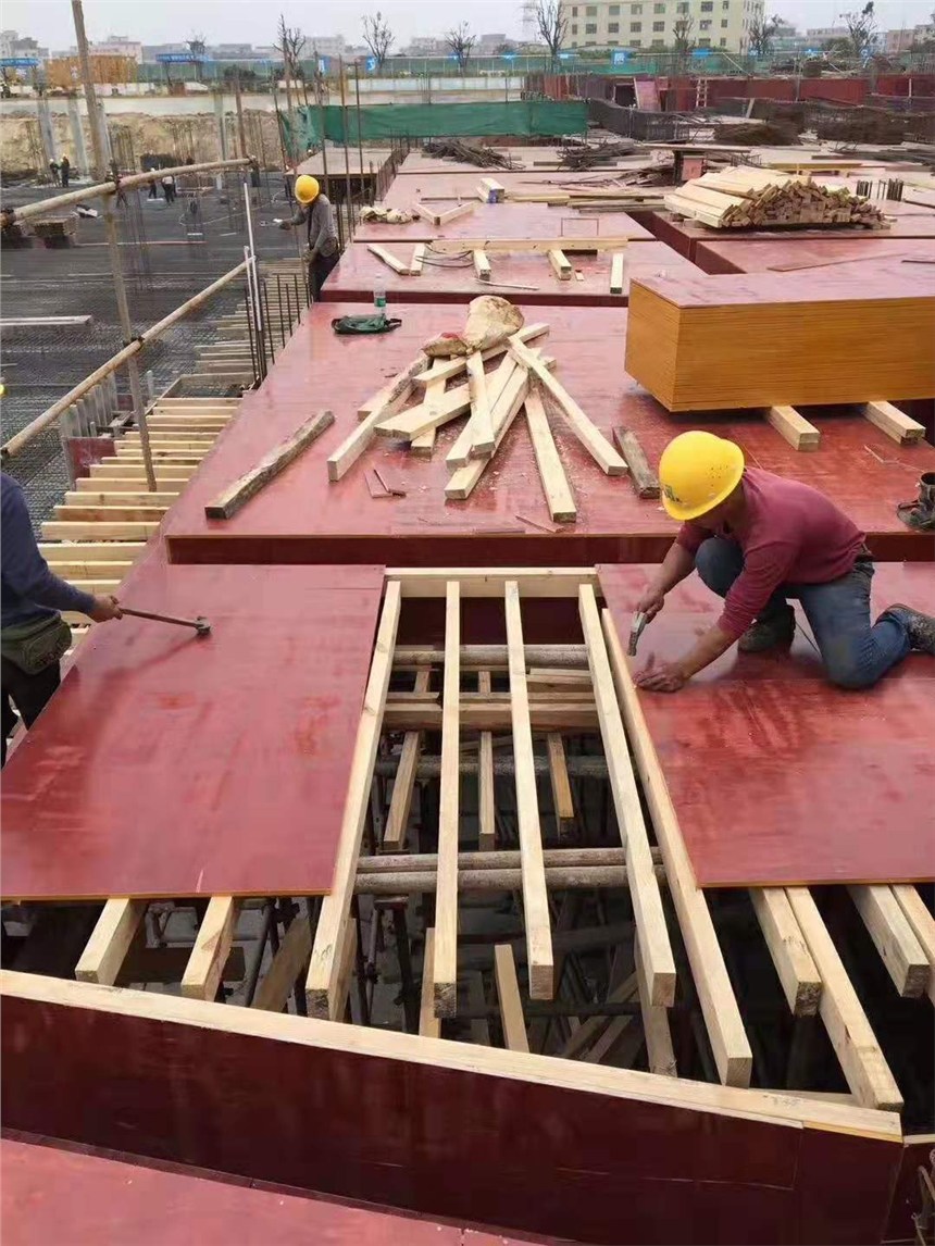 韶关建筑木方与建筑模板 构筑现代工程的基础材料