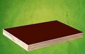 三文木业 高品质建筑模板直销专家，助力城市建设新高度